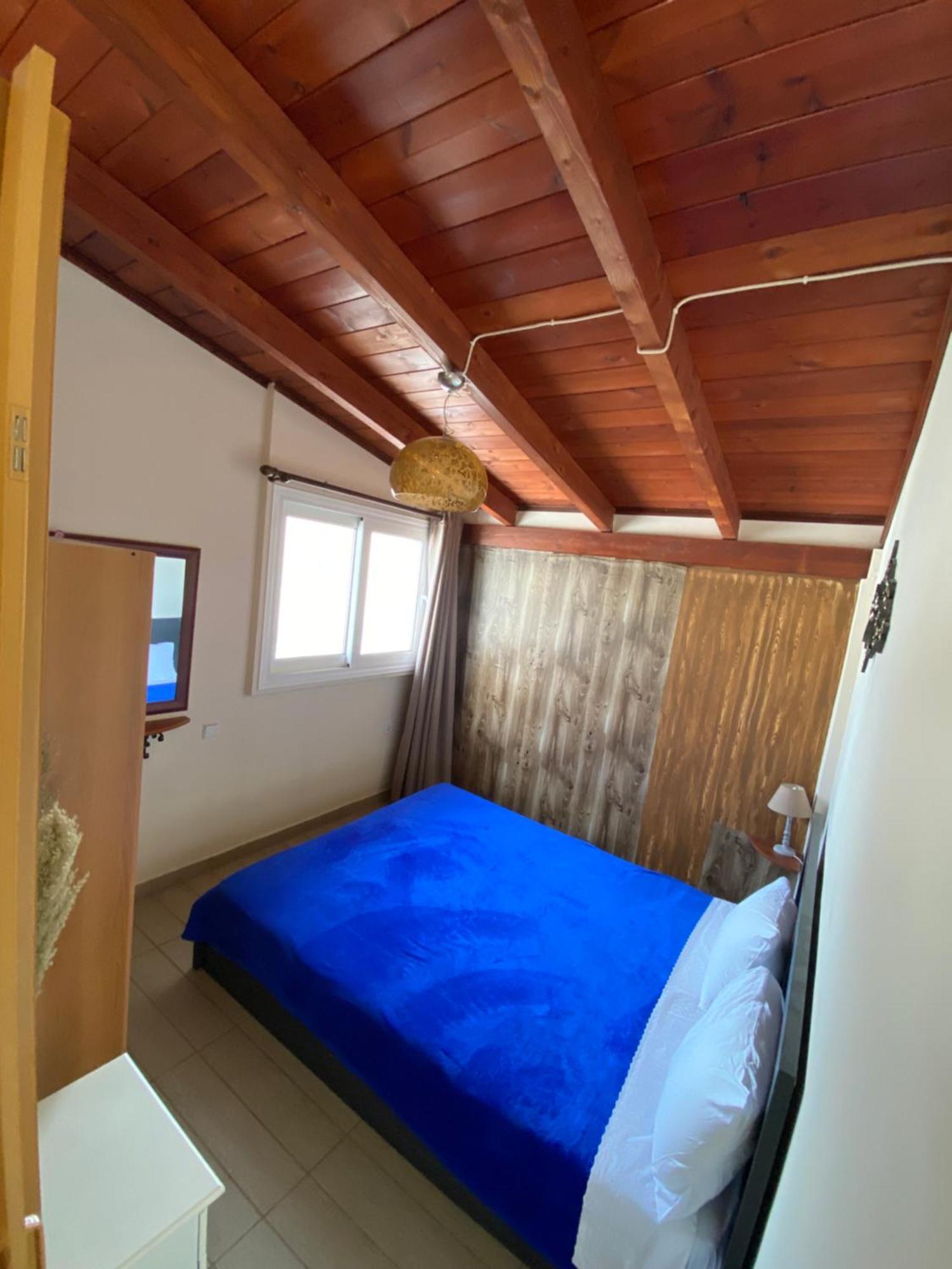 Nikos Meltemi Family Penthouse Archangelos (Rhodes)
